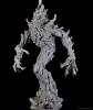 Boreal Treewalker