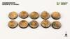 Deserts of Maahl Round 25mm (x10)