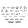 Fish Collection