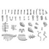 Animal Bones 1:48
