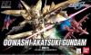 Hg Oowashi Akatsuki Gundam