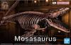 1 32 Imaginary Skeleton Mosasaurus