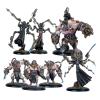 Warmachine: Hive Mind Cadre