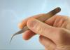 Stainless Tweezer No 7 Curved