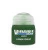 Warhammer Layer: Loren Forest