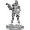 WizKids Deep Cuts: Human Rogue