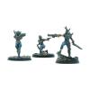 Fallout: Wasteland Warfare - Raiders: Disciples Leaders