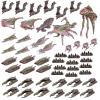 Scourge Army Bundle (Direct)
