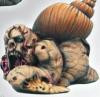 Chaos Snail #5