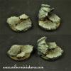 Roman 40mm round bases #1 (2)