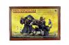 Ironblaster / Gnoblar Scraplauncher