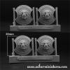 Lion SF Shields #2 (4)