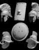 Greco-Roman Accesories