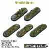 Windfall bike 70x25mm (5)