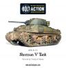 Sherman V
