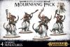 Beastclaw Raiders Mournfang Pack
