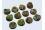 Jungle Bases, Round 25mm (5)