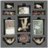 AF070DO03 70 mm foam tray with 11 compartments for DOOM - cards and big demons