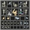 AG055AQ04 55 mm foam tray for Arcadia Quest