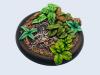 Jungle Bases, Wround 50mm #2 (1)
