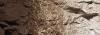 Raw Umber Earth Colours� Liquid Pigment 4 fl. oz.