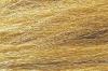 Harvest Gold Field Grass