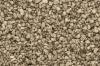 Medium Brown Talus