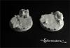 Ruins 50mm round bases set (2)