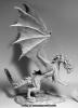 Stormwing, Dragon