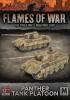 PANTHER TANK PLATOON (x2 tanks)