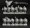 Dwarven Mercenaries 12 miniatures (12)