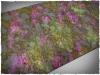 Xenos Jungle - 44x90 Cloth