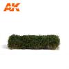 Summer Dark Green Shrubberies