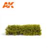 Spring Light Green Shrubberies