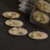 Arid Steppe Oval 60mm (x4)