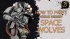 BRUSHSTROKE’S HORUS HERESY SPACE WOLVES PAINT BUNDLE