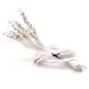CLEAR 12V GRAIN/WHEAT BULBS10s