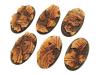 Temple Bases, Oval 60mm (4)