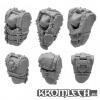 Orc Armoured Torsos (6) 