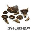 Animal skulls & bones (11) (TBA)